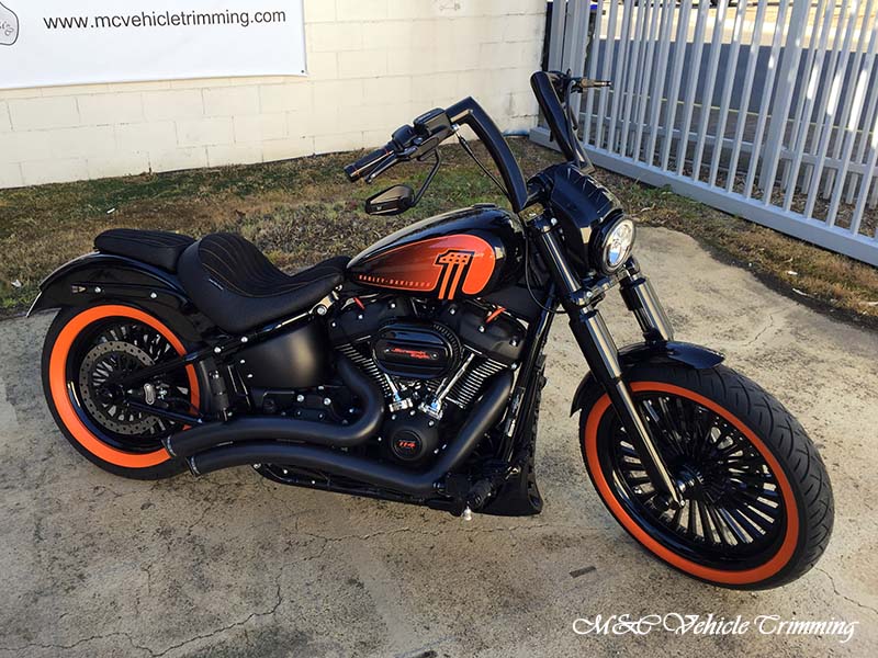 Harley-Davidson Screamin' Eagle 2022